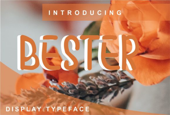 Bester Display Font for Creative Product Design